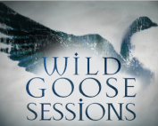 wild goose sessions