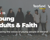 young adult survey